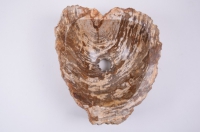 Раковина из цельного камня s25-5604